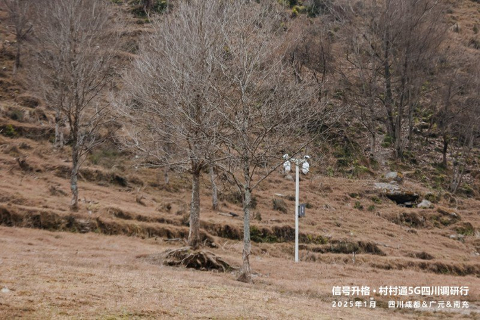 图：唐家河国家级自然保护区实现基于5G+AI的生态保护及智慧文旅