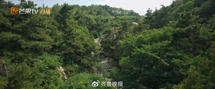 电视剧《国色芳华》截图