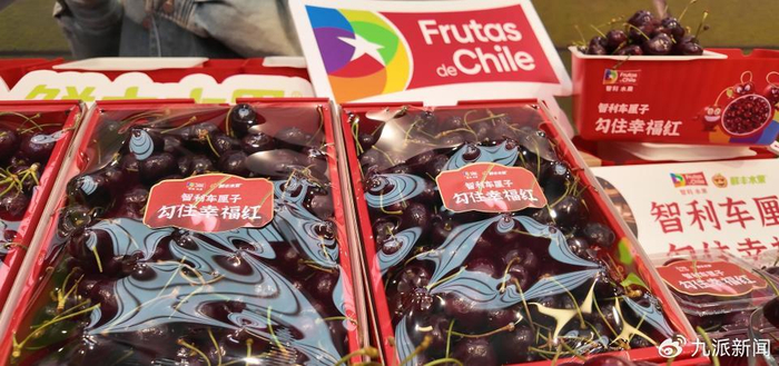 商超内的智利车厘子。图/受访者提供