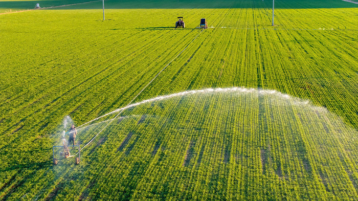 河南巩义：黄河滩地上农民抗旱浇灌小麦