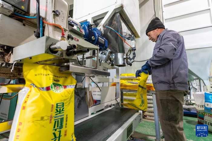 　　图为工人在乌兰浩特市明武水稻种植专业合作社车间内工作。新华社发（梁子晶 摄）