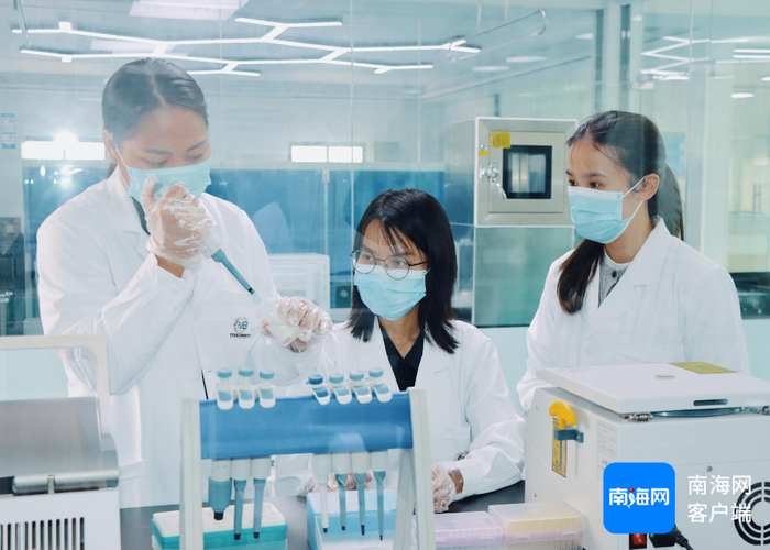 昌江民本国际海洋种质研究所育繁实验基地。昌江县融媒体中心供图