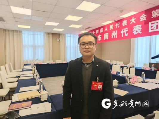 省人大代表卜义因