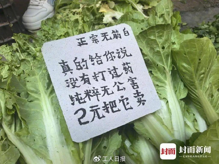图源：封面新闻