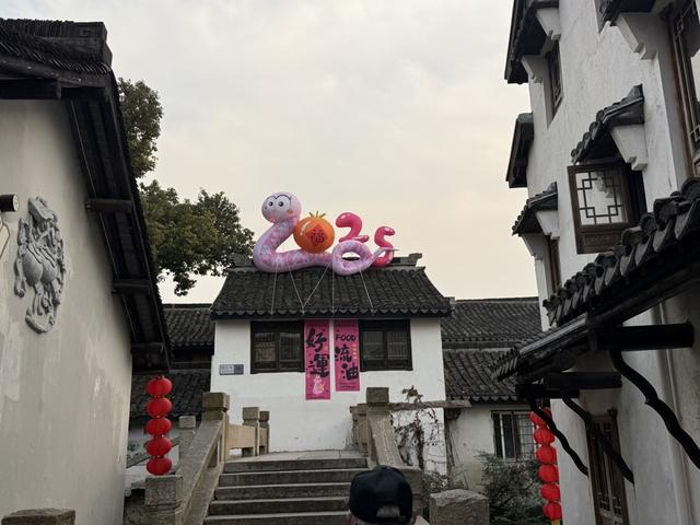 青溪老街上的蛇年装饰。沈思怡 摄