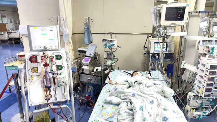 PICU里，上了ECMO+CRRT 的小依依。浙大儿院供图