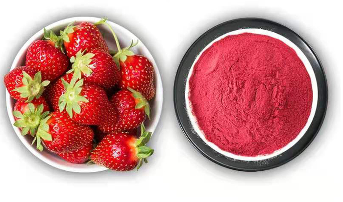 将新鲜草莓冻干后打粉制成