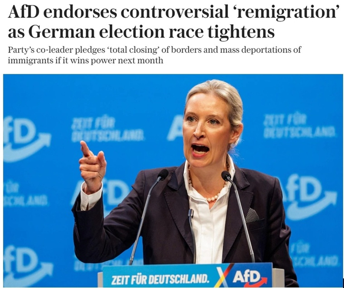 英国《每日电讯报》报道截图（题图为魏德尔）