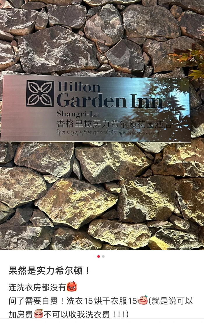 　　图源：小红书@阿力鸽