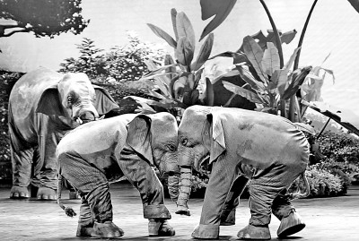 《大象来了》剧照 中国木偶艺术剧院供图