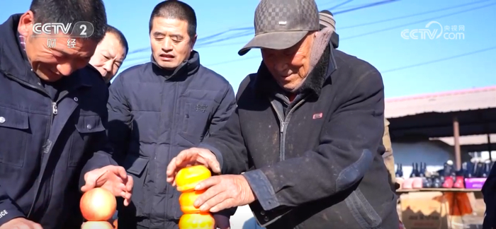 山西太原：年年有余好“彩头”“年宵鱼”热销