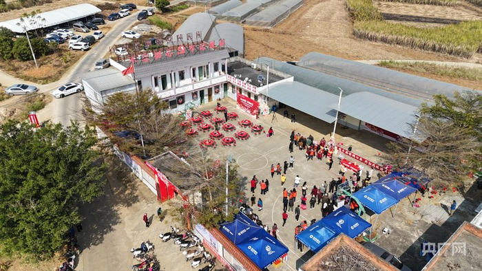 活动现场（央广网见习记者  张显  摄）