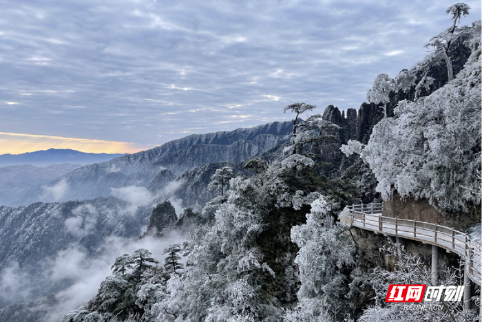 莽山。
