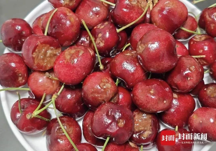 网友网购的车厘子出现大量损坏 受访者供图