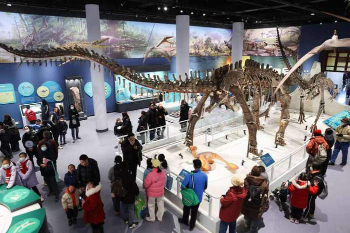 1月14日，国家自然博物馆“脊椎动物的崛起”展厅正式对外开放。新京报记者 浦峰 摄