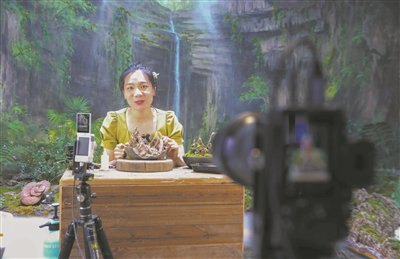　　文成直播电商带火苔藓微景观产业。 陈翔 摄