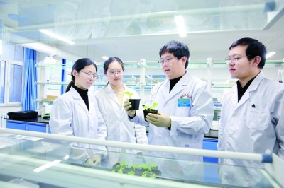     省部共建华北作物改良与调控国家重点实验室副主任赵建军（右二）指导研究生开展大白菜耐盐精准评价。资料图片