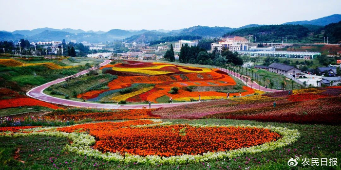 羊昌“花画小镇”建设带动400余户1200多人脱贫。韩德贵 摄