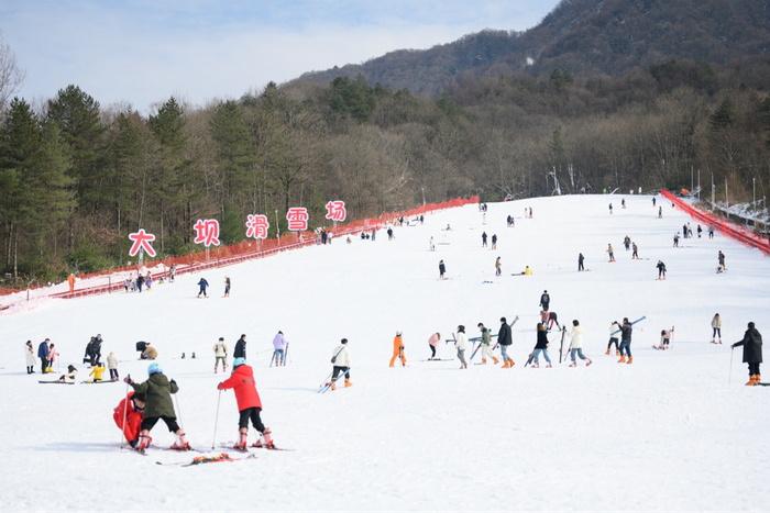 米仓山国家森林滑雪场。巴中市文旅集团供图