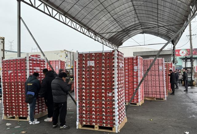 来自全国各地的水果采购商在辉展采购进口车厘子。沈思怡 摄