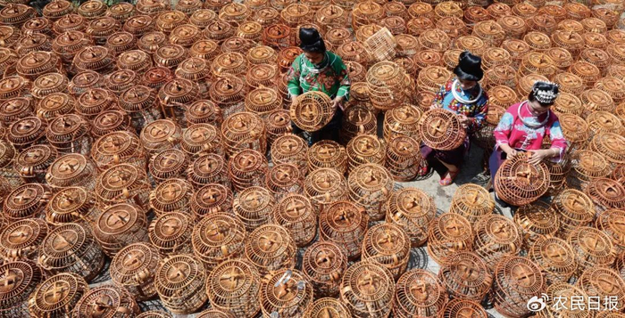 丹寨县卡拉鸟笼已成为当地群众增收的“金饭碗”。资料图