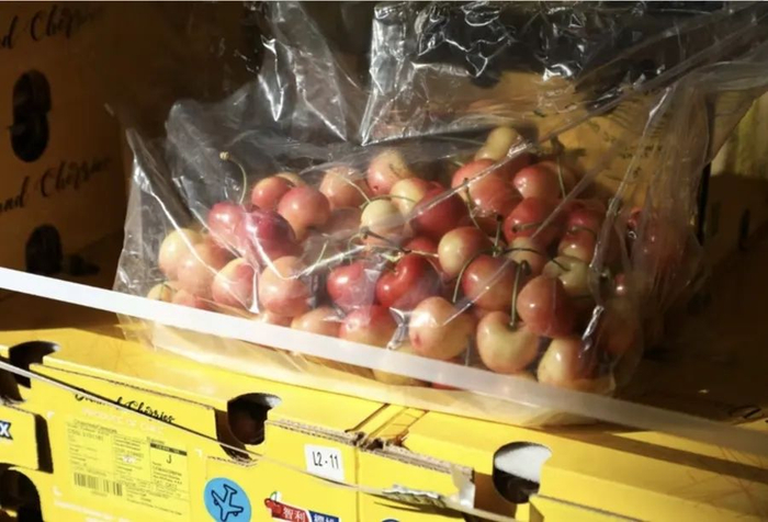 今年，智利进口的黄色车厘子也备受消费者欢迎。