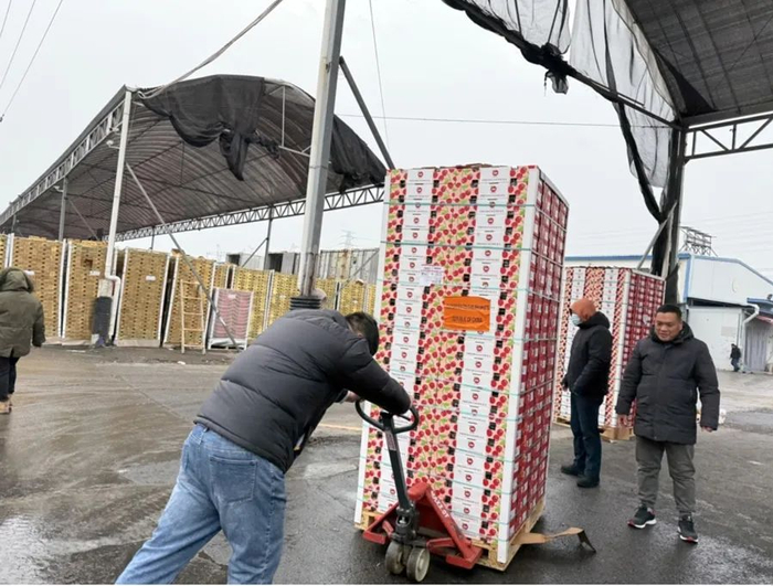 来自全国各地的水果采购商在辉展采购进口车厘子。沈思怡 摄