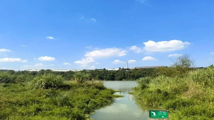 宝台镇污水直排入河治理后