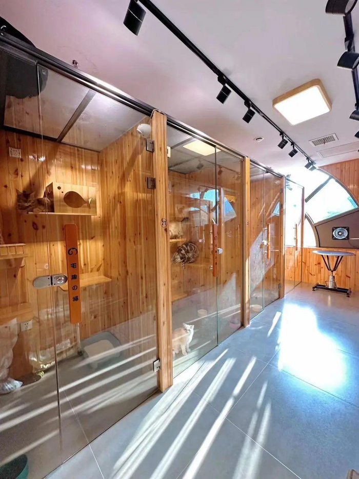 一家宠物店的VIP包间。图源：极目新闻