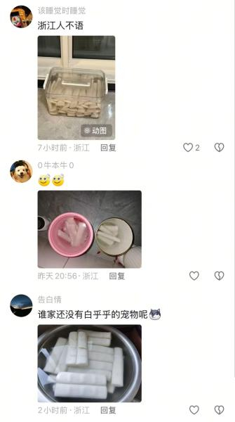 欢乐的评论区。受访者供图