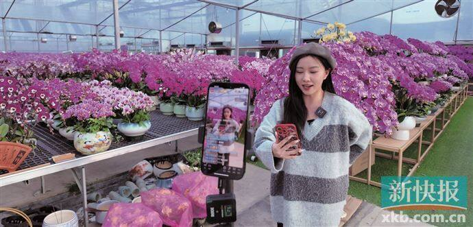 ■广州头部蝴蝶兰直播商家，家成花卉直播间现场。