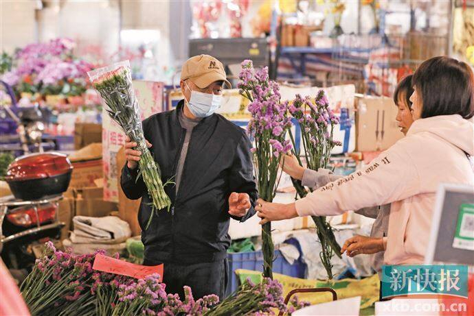 ■市民在岭南花卉市场选购年花。新快报记者 毕志毅/摄