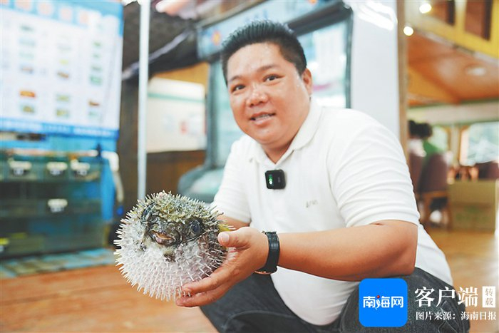 　郭玉光捕捞自家养殖的气鼓鱼，准备为顾客烹粥。海南日报全媒体记者 王程龙 摄