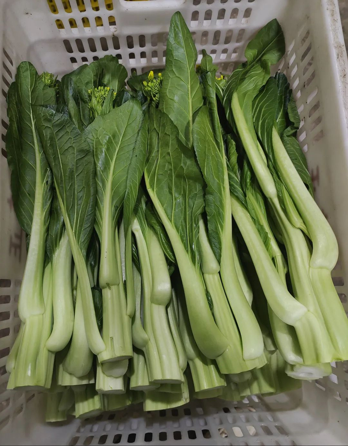 菜市场新鲜的连州菜心。清远日报记者 周璐 摄