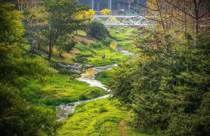 南岗河