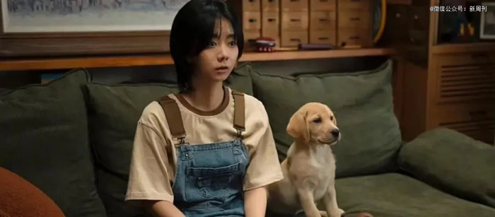 （图/《再见，李可乐》）