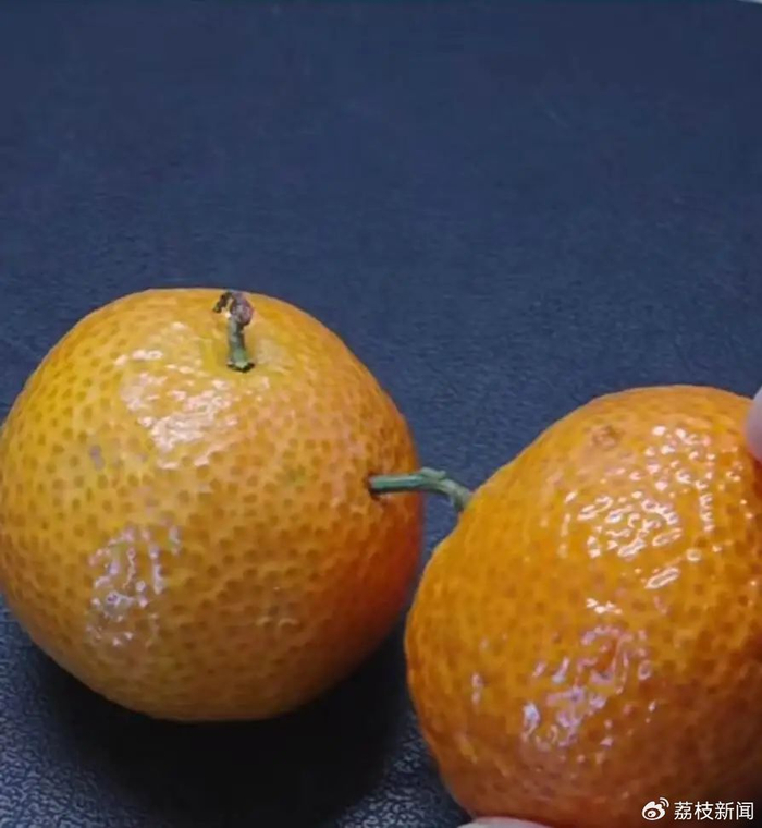 被另一个砂糖橘的果蒂刺破的砂糖橘丨图源：小红书@西瓜情报社 视频截图