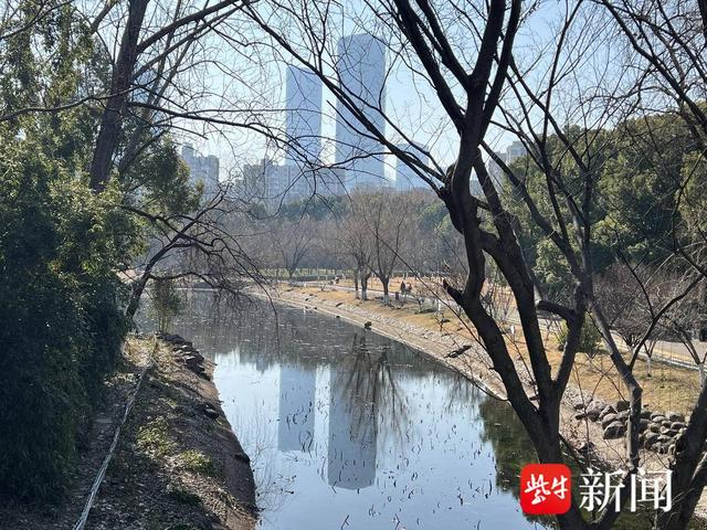 薄云峰 摄
