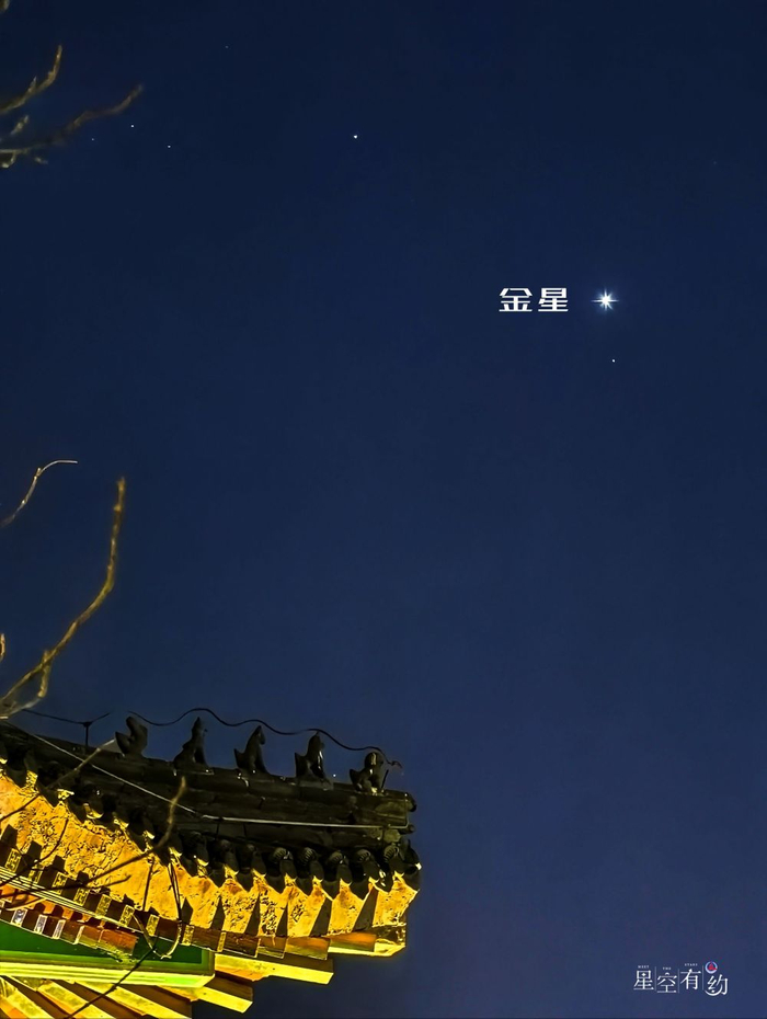 2025年1月15日在天津水上公园拍摄的金星。（钟奕摄）