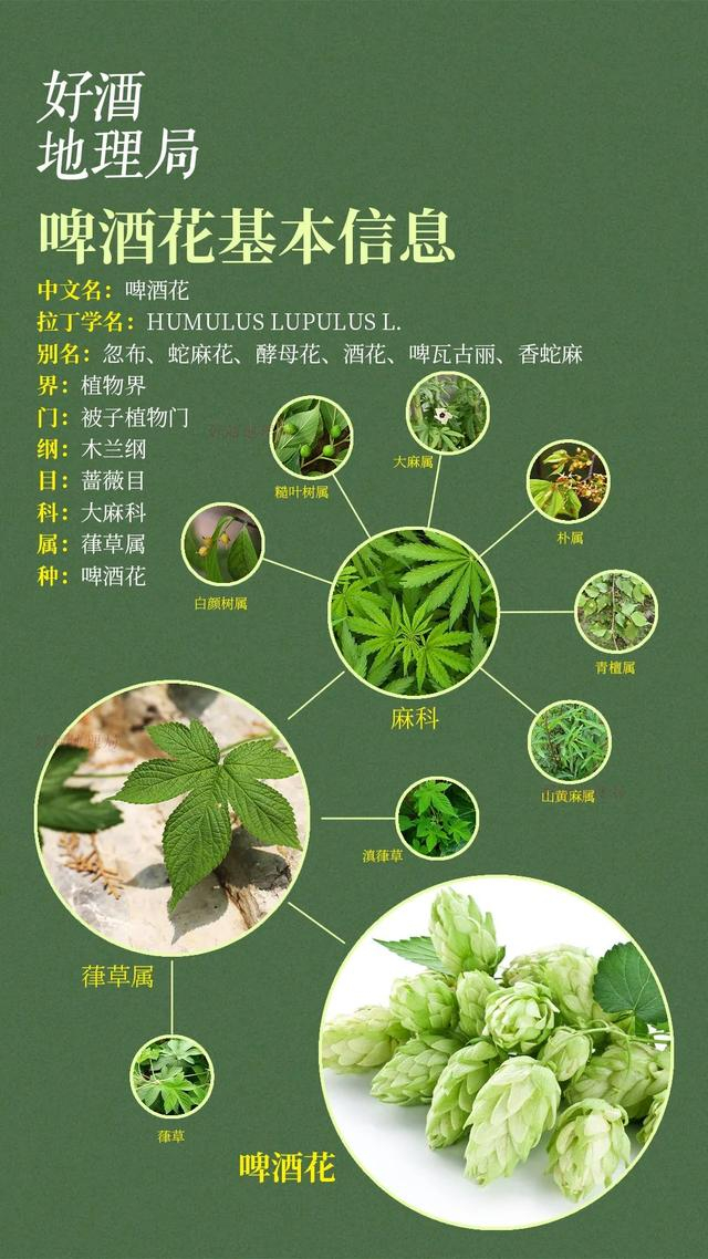 制图/好酒地理局视觉中心