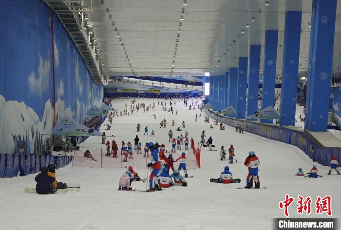 游客在湖北咸宁一滑雪场体验冰雪运动乐趣。记者 梁婷 摄