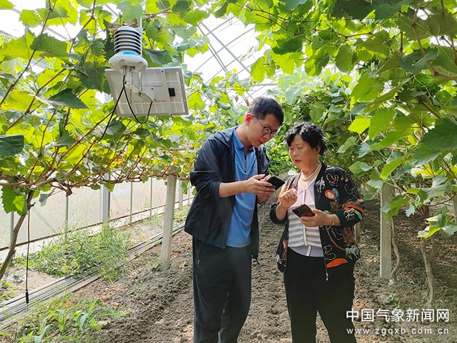 天津市气象局专家指导东丽区葡萄种植户获取农用天气预警信息。 图/张妍