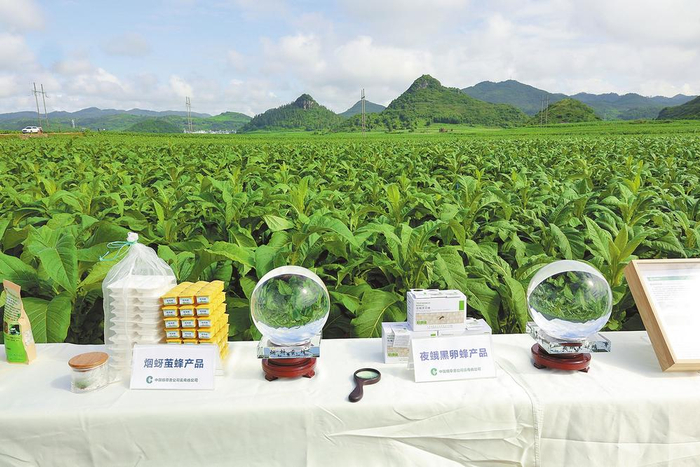 　　“四虫一剂”产品展示和推广应用。 供图