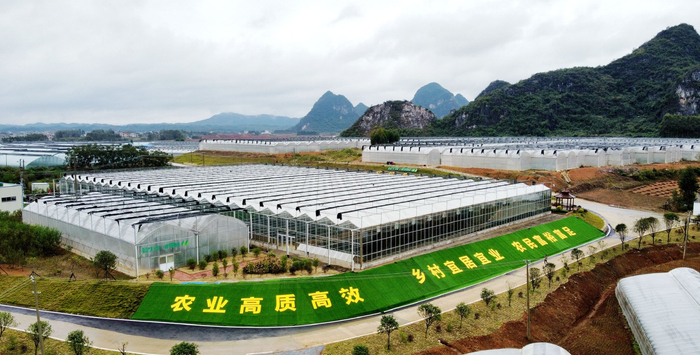 图为平桂区现代设施农业产业园中红种植基地。（黎豪图 摄）