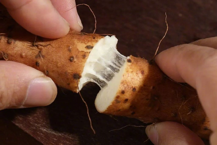 图源：视觉中国