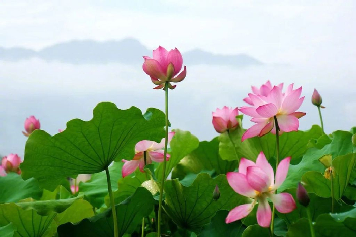 图源：视觉中国