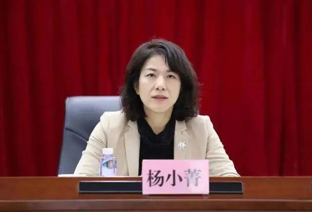 杨小菁（资料图）