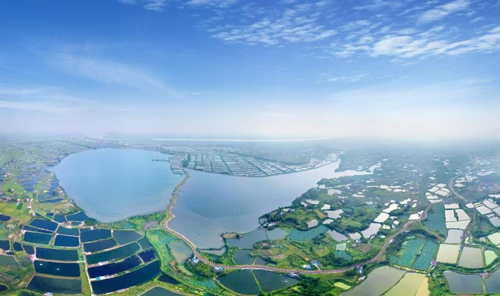 俯瞰金湖国家湿地公园