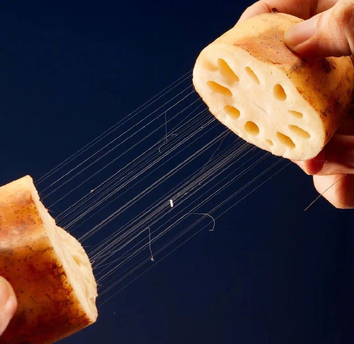 图源：视觉中国