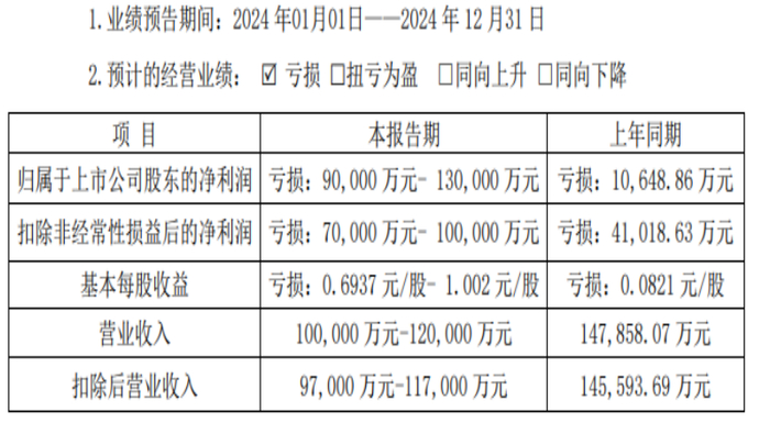 （海南海药2024年业绩预告。来源：巨潮资讯网）
